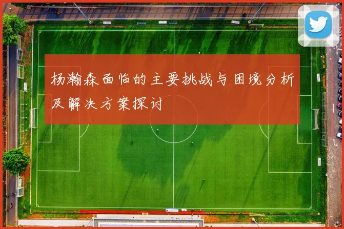 杨瀚森面临的主要挑战与困境分析及解决方案探讨