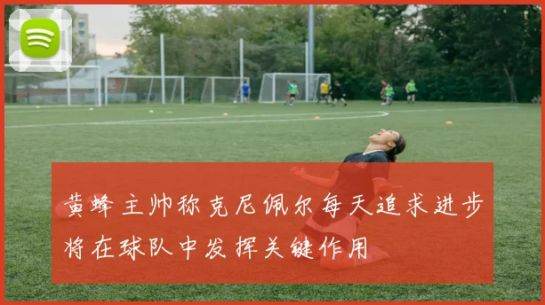 黄蜂主帅称克尼佩尔每天追求进步将在球队中发挥关键作用