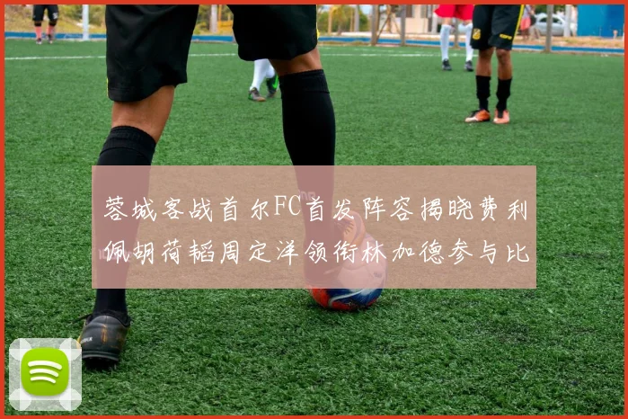蓉城客战首尔FC首发阵容揭晓费利佩胡荷韬周定洋领衔林加德参与比赛